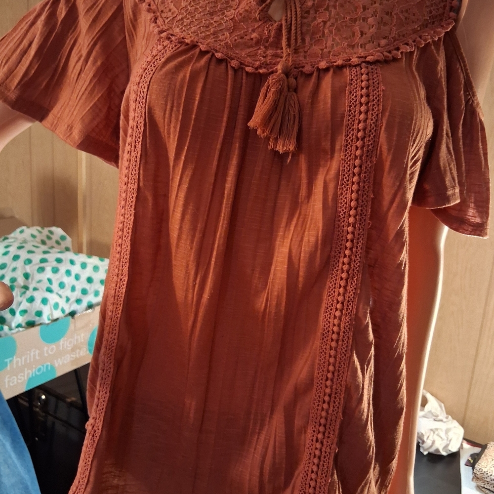 Absolutely Famous Rust Blouse with Lace Accents